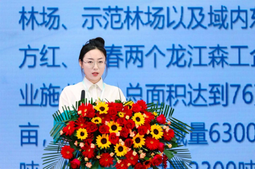 图:虎林市林业和草原局绿化办李悦