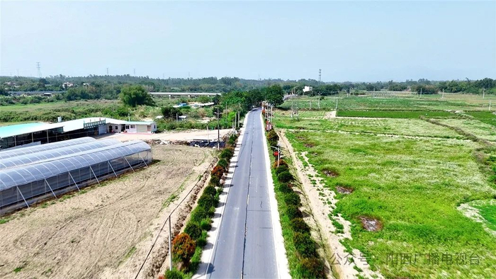 图源：阳西广播电视台