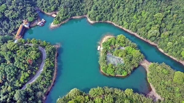 鼎湖山俯瞰。谢震霖/摄