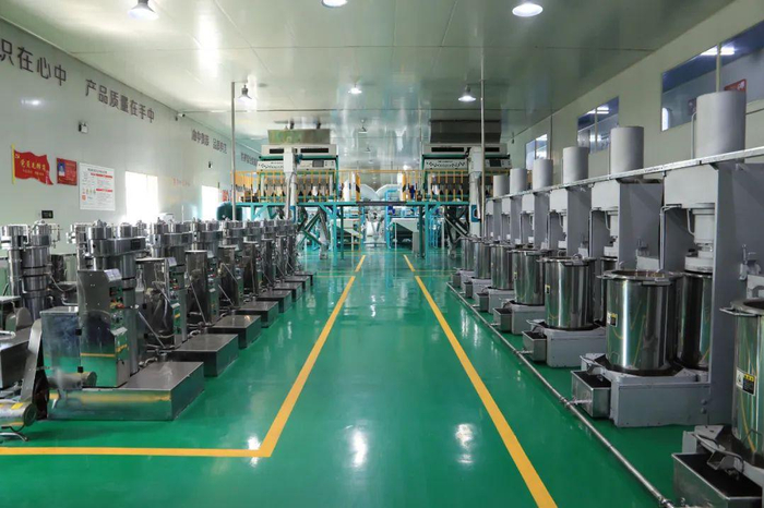 整洁的紫苏加工车间