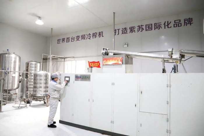 先进的低温冷榨技术