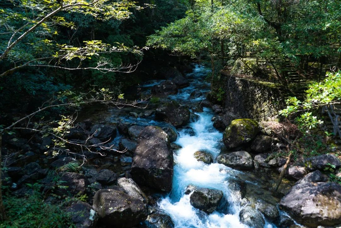 图源首席造梦师