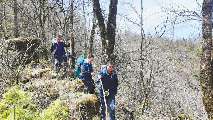 图为：护林员行进在山路上。（湖北日报通讯员 魏家锋 摄）
