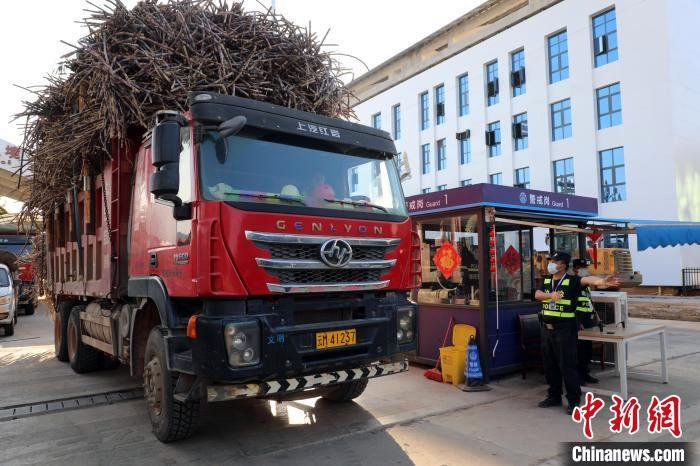 甘蔗运输车辆从南伞口岸快速通关。清水河边检站 供图