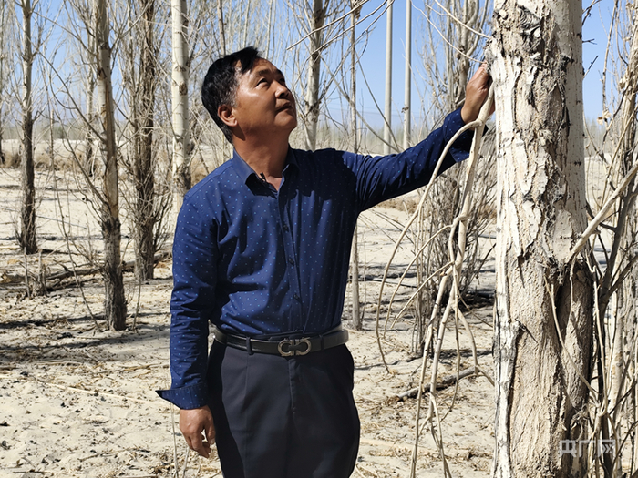 付国喜在检查树木生长情况  （央广网发  马晓杉  摄）