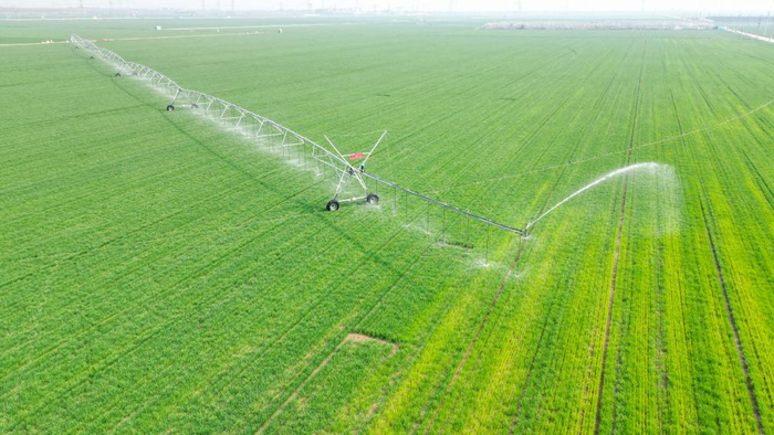 4月9日，在山东省东营市广饶县李鹊镇的一处高标准农田里，桁架式喷灌机为小麦浇水（无人机照片）。新华社发（刘云杰摄）