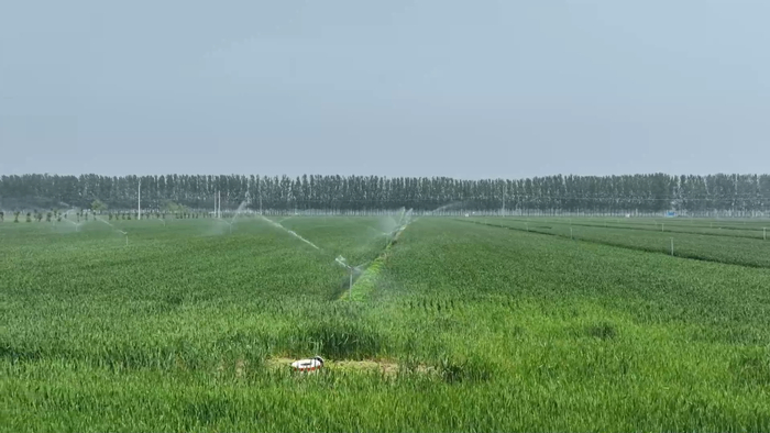 在河南省开封市尉氏县张市镇万亩高标准农田示范区，多种先进灌溉技术已投入使用。王正一 摄