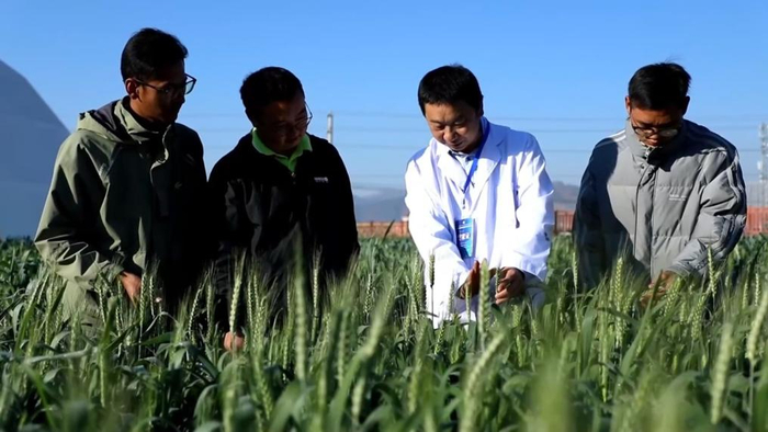 在云南楚雄彝族自治州元谋县，科研人员正在播种试验材料。受访者提供