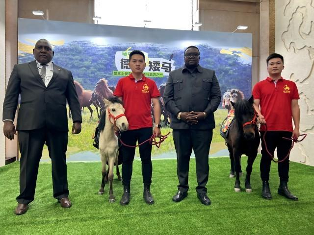 国际友人与德保矮马合影。（黎玉聪 摄）