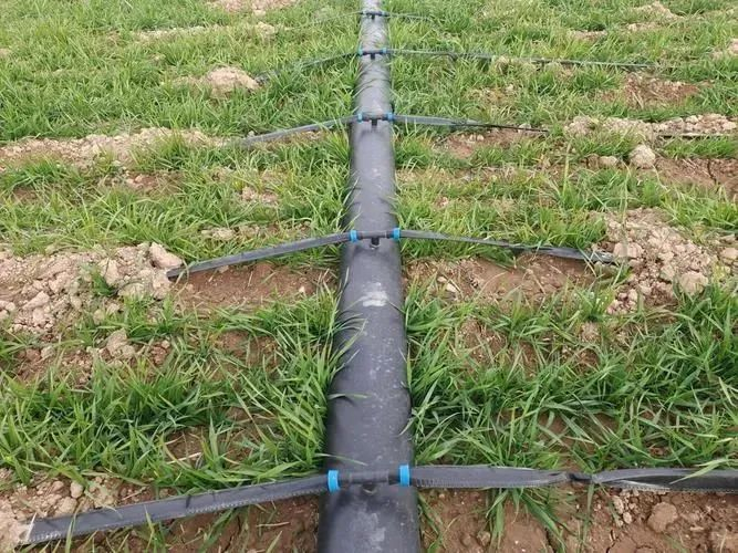 图 10　灌溉系统实地部署图