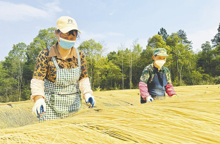 WfN益阳日报媒体云