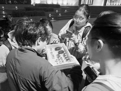 夜晚在北京林业大学校园内，学员们细致观察昆虫。受访者 供图