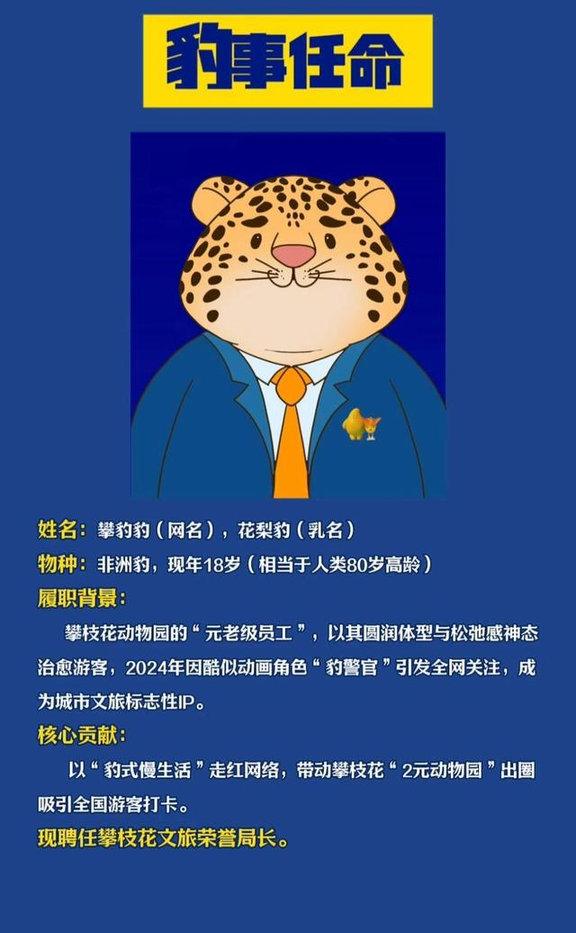 ▲攀枝花文旅发布的“豹事任命”