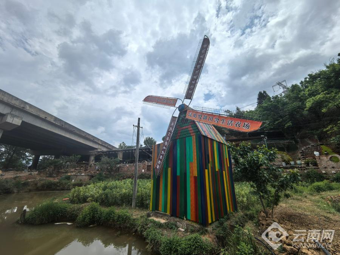 悦耕田舍·稻语农场一景 杨萍 摄