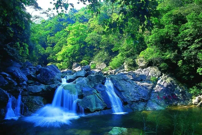 十万大山国家森林公园。（资料图）