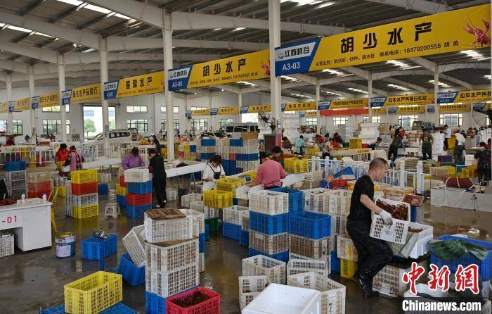 图为永修县江西虾谷小龙虾交易中心，商户正在分拣小龙虾。永修县融媒体中心供图