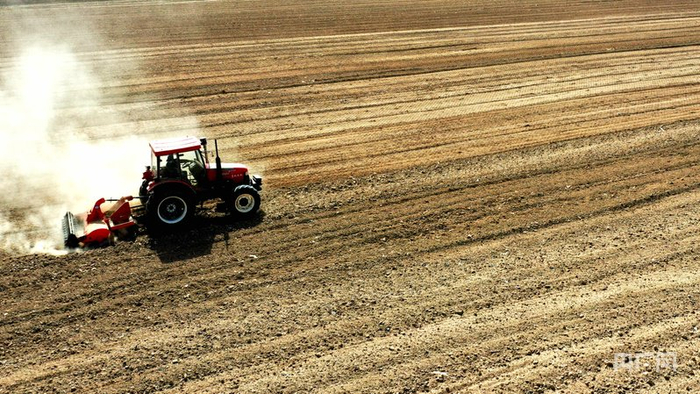 民勤县种植户正通过浅埋式滴灌水肥一体化技术开展田间作业（央广网发  马爱彬  摄）