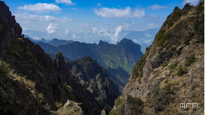 神农谷风景（央广网记者邓子依  摄）