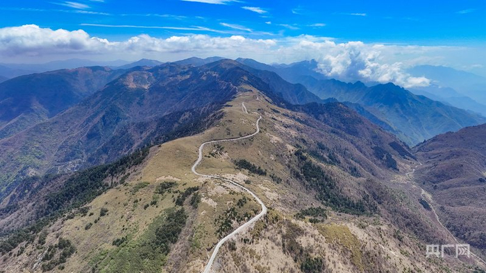 “华中屋脊”神农架（央广网记者左洋  摄）