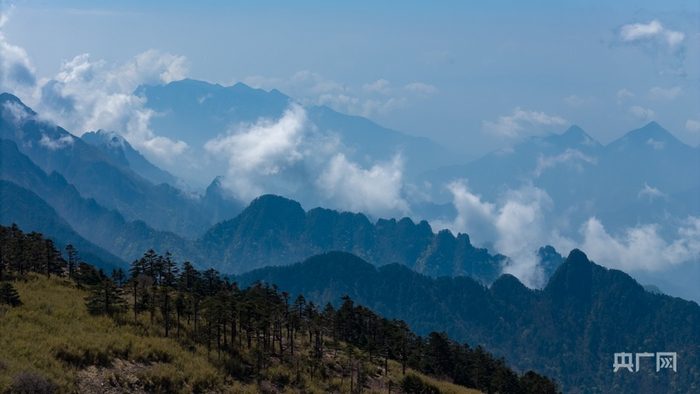 神农架林区风景（央广网记者左洋  摄）
