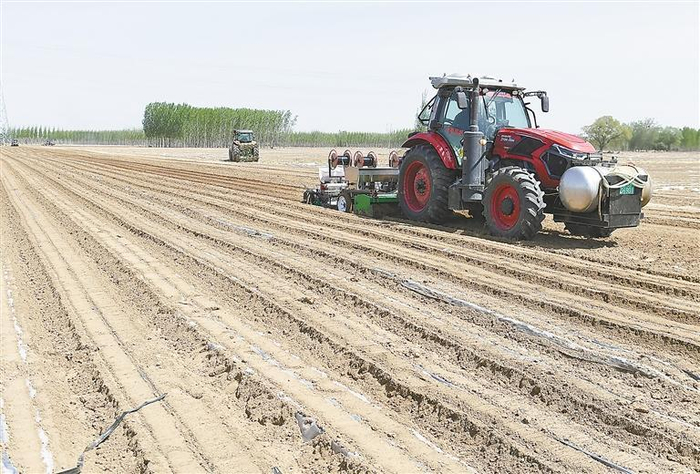     在权村镇蓦门村一花生种植基地，农民正驾驶机械播种花生。    本报记者  杨雅淇 本报通讯员 金天 摄