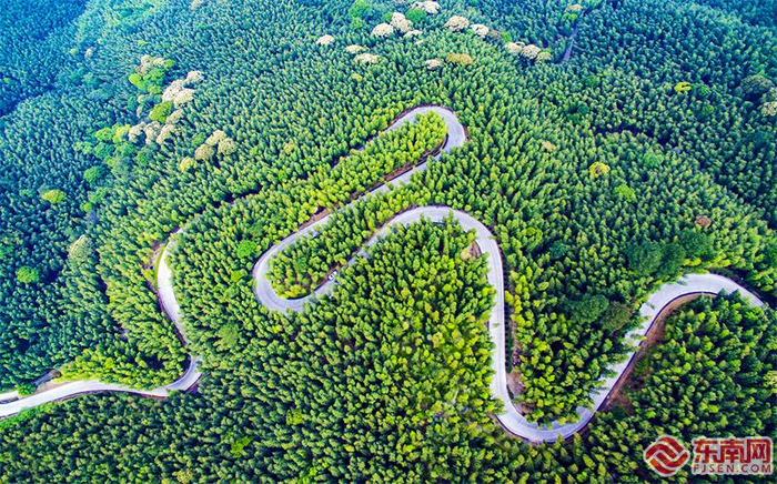龙栖山航拍。图源：东南网