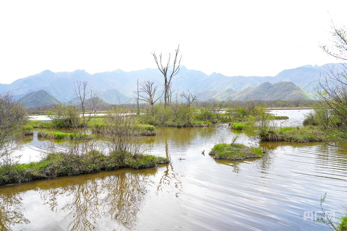 大九湖湿地（央广网记者邓子依  摄）