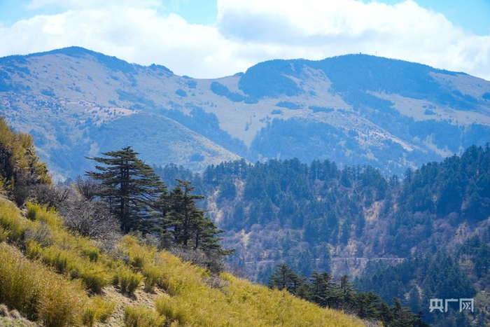 神农架林区风景（央广网记者邓子依  摄）