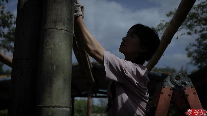 李子柒建造森林衣帽间,图源:李子柒视频截图