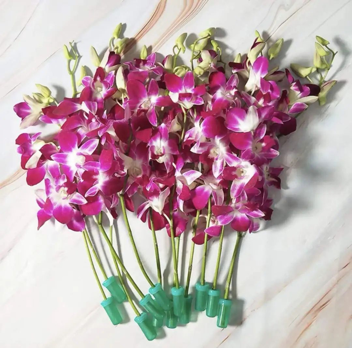 为了保证秋石斛的新鲜，运输途中会把秋石斛插到营养液里保存|图源：淘宝好新鲜精品蔬果