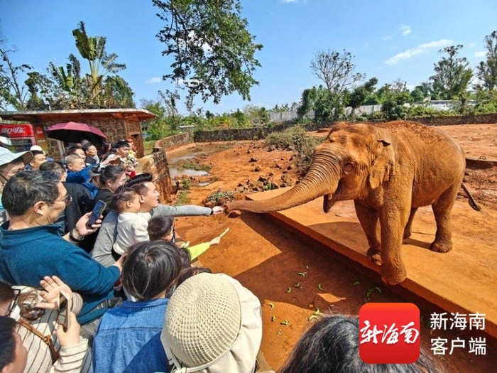 游客打卡海南热带野生动植物园。海南热带野生动植物园供图