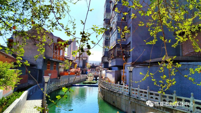 图源：临夏市融媒体中心