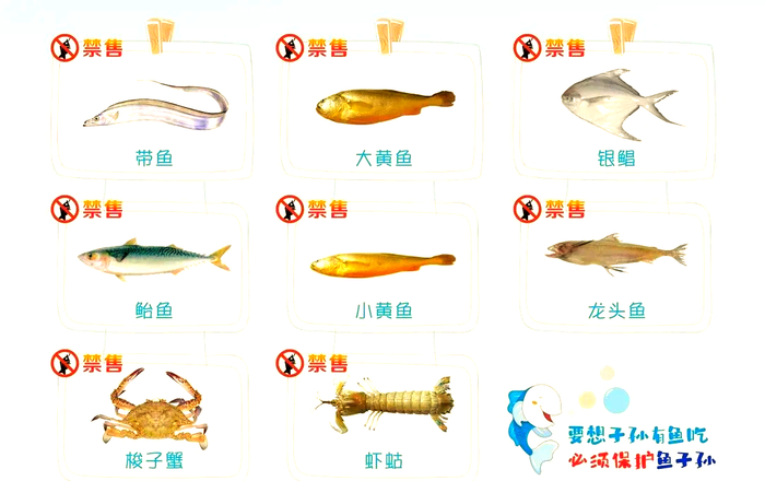 图源 浙江海洋经济公众号