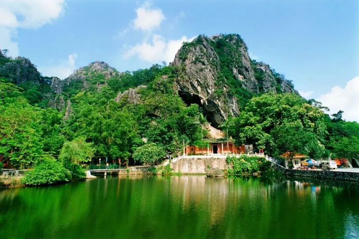 图源：阳春融媒