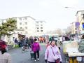 走！逛早市去！长春这里“真香”！