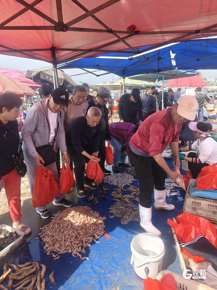 南姜码头鱼市火热。