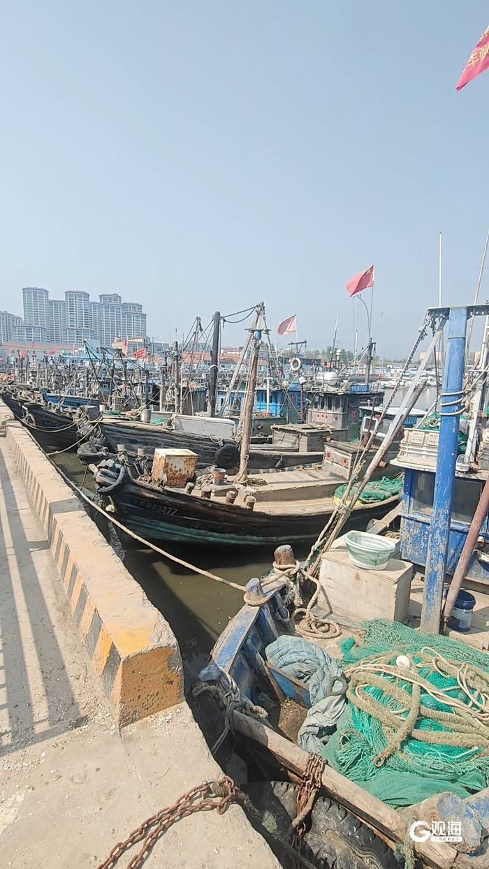 南姜码头渔船归港。