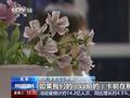 “收款不退、丢卡不补”？下月起这些霸王条款统统无效