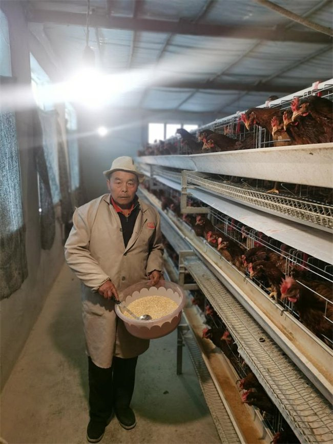 72岁的全国劳动模范陈锡洪在养殖场内劳动。（受访者供图）