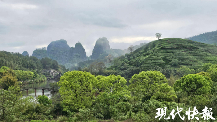 武夷山三才峰 徐苏宁/摄