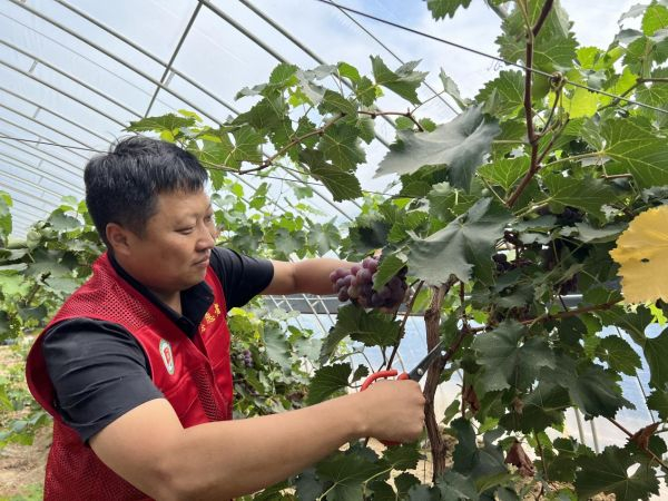 　　永兴小寨村驻村工作队第一书记刘勇