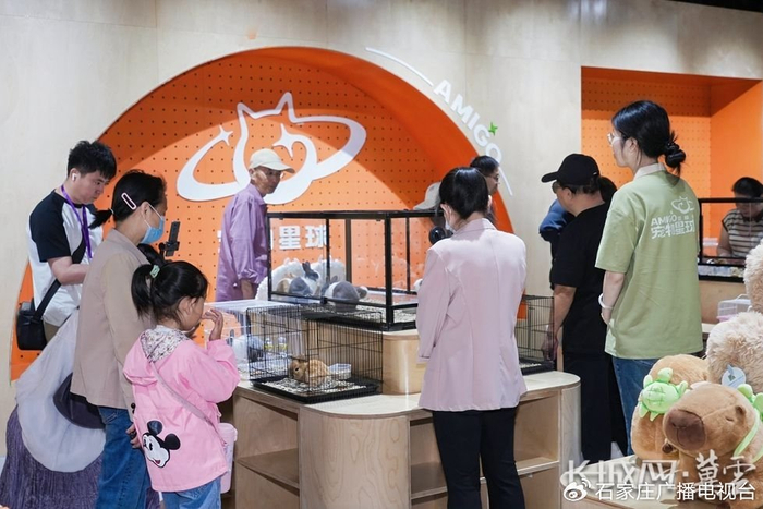 宠物星球吸引小朋友们的目光。长城网·冀云客户端记者李征 摄