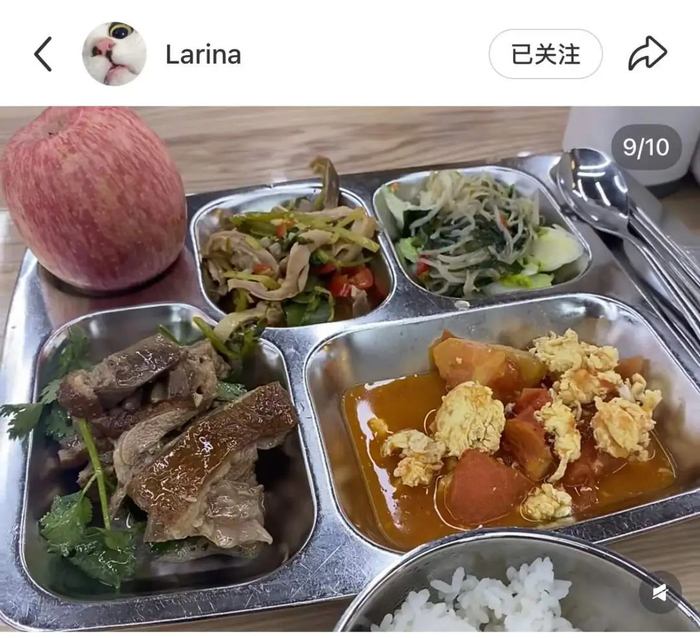 图源：小红书@Larina（已授权）