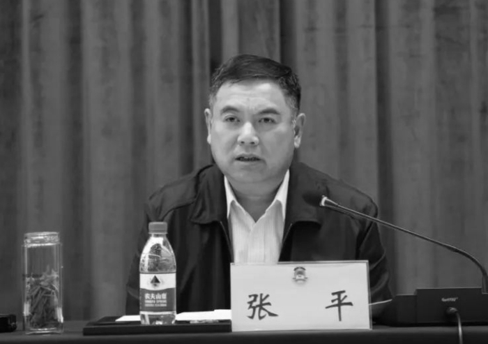 张平（资料图）