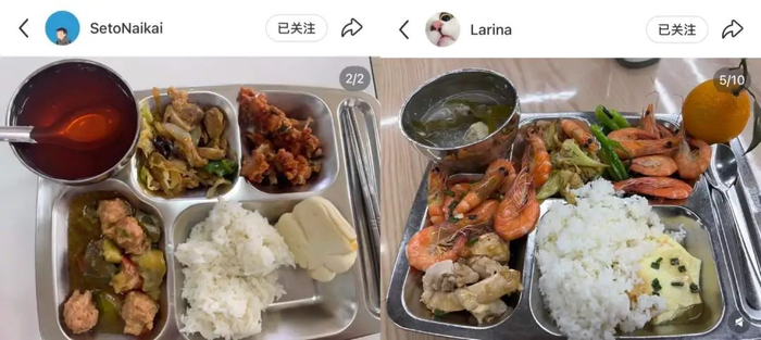 图源：小红书@SetoNaikai、@Larina（均已授权）