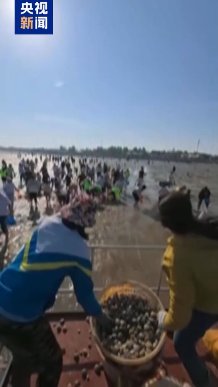 ▲5月2日，山东日照某海滨景区工作人员驾驶小车沿海边滩涂抛撒蛤蜊。图/央视新闻视频