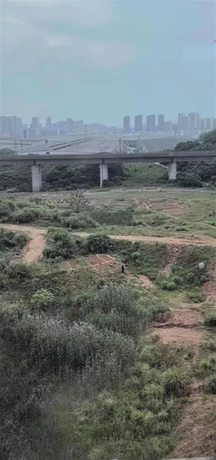 停车处车厢外的情况