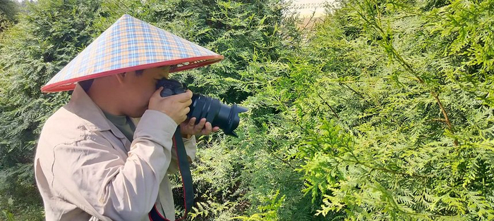 蔡松余拍照记录崖柏生长情况。周小平摄