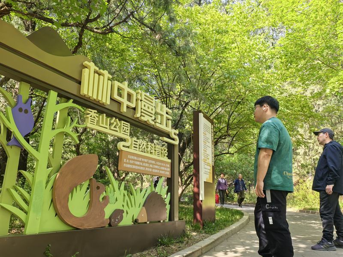 香山公园推出“林中漫步”自然科普步道。北京市公园管理中心供图
