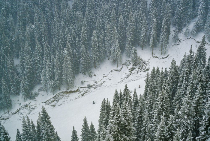 　　游客在新疆乌鲁木齐丝绸之路山地度假区滑雪（2025年1月23日摄，无人机照片）。 新华社记者 陈朔 摄